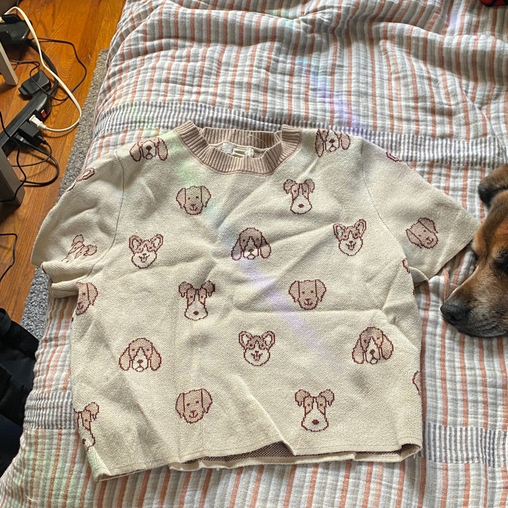 Debut Cream and Brown Dog Print Crop Top